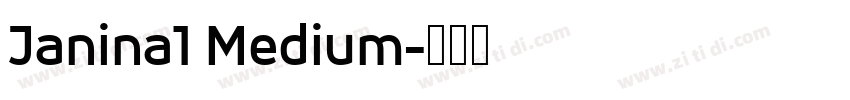 Janina1 Medium字体转换